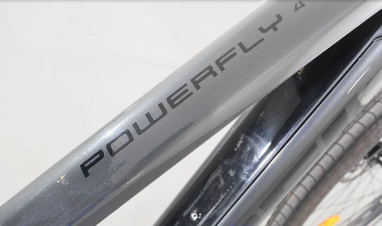 Trek Powerfly 4    Año 2021