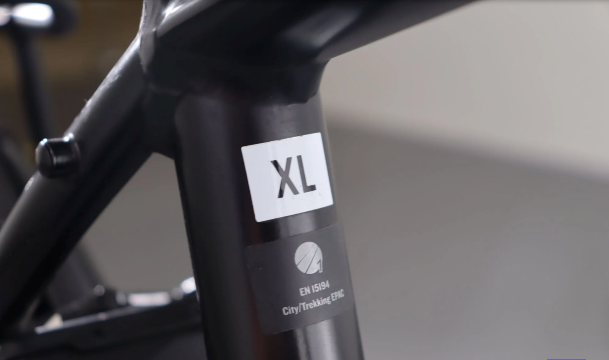 Trek FX+ 2     Año 2025